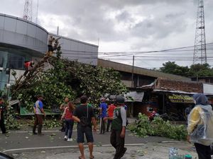 Angin Kencang Landa Semarang Hari Ini, Belasan Pohon Tumbang