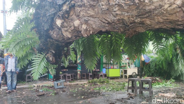 Pohon tumbang di Jalan Sungai Lariang, Makassar.