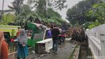 Potret Pohon Tumbang di Jalan Sungai Lariang Makassar Timpa 5 Warga