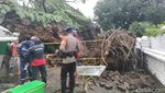 Potret Pohon Tumbang di Jalan Sungai Lariang Makassar Timpa 5 Warga