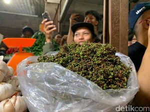 Menko Airlangga Terkejut Harga Andaliman Rp 200 Ribu, Lebih Mahal dari Cabai