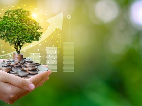 Ini Dia Untungnya Jika RI Transisi ke Ekonomi Hijau