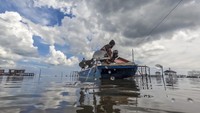 Selain melakukan pengolahan limbah, Badak LNG juga turut serta dalam mendukung pemeliharaan ekosistem laut, yakni menanam terumbu karang di wilayah perairan laut Bontang. 