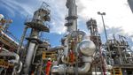 Aksi Badak LNG Menjaga Ketahanan Energi untuk Negeri