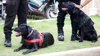 Anjing pelacak juga dikerahkan dalam penjagaan Gereja GPIB Immanuel.