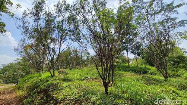 Pasir Heunceut di Ciamis