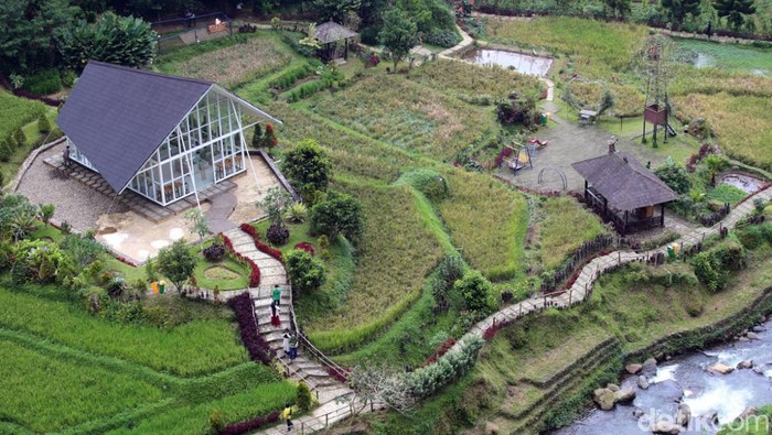 Pemandangan dari resort di Cianjur.