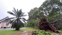 Belum ada petugas di lokasi saat detikSulsel melakukan pantauan. Foto: Agil Asrifalgi/detikSulsel