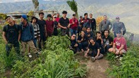 Sebelumnya, pihak kepolisian mengungkap 8 hektare ladang ganja di Madina. Selain itu, polisi mengungkap penyelundupan ganja siap edar. Sekitar 1,3 ton ganja diamankan, yang dibawa dengan mobil boks di Jalan Jamin Ginting, Kota Medan. Ganja itu terbungkus dalam 1.338 paket. (Dok Polda Metro Jaya)