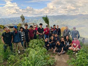 Potret Ladang Ganja 11 Hektare di Sumut yang Dibongkar Polisi