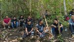 Potret Ladang Ganja 11 Hektare di Sumut yang Dibongkar Polisi