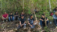 Pengungkapan ini dilaksanakan sebagai puncak penindakan terhadap peredaran ganja selama 2022. Polisi telah menetapkan beberapa tersangka, mulai pemilik lahan, kuli panggul, pembeli, kurir, hingga pengendali. (Dok Polda Metro Jaya)
