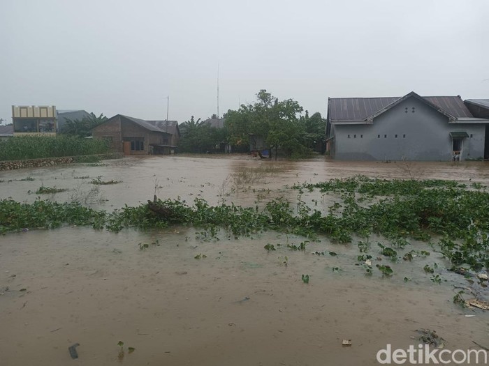 Potret Banjir Setinggi Leher Rendam Pemukiman di Pettuadae Maros