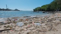 Beginilah potret sampah di sekitar kawasan pantai Labuan Bajo sebelum dibersihkan oleh para relawan dan komunitas. 