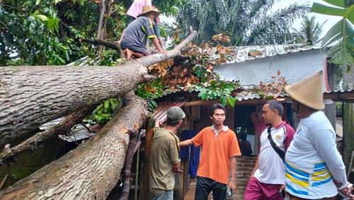 Satu unit rumah warga di Dusun Penimbung Gubug Belinjo, Desa Penimbung, Kecamatan Gunungsari, Kabupaten Lombok Barat, hancur tertimpa pohon tumbang, Jumat (23/12/2022) malam.