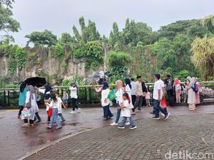 H-1 Natal, 16.619 Orang Padati Taman Margasatwa Ragunan