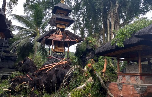 Seks larks fohishalar