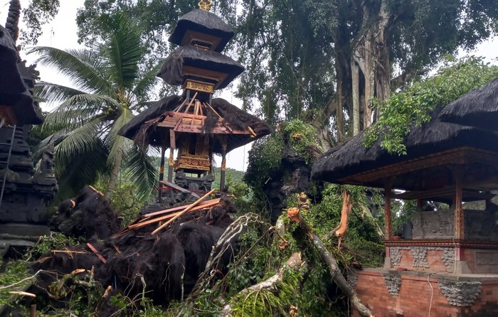 Tiga palinggih di Pura Dadia Batan Bingin, Desa Gegelang, Karangasem, Bali, rusak parah tertimpa dahan pohon beringin yang patah, Jumat (23/12/2022).