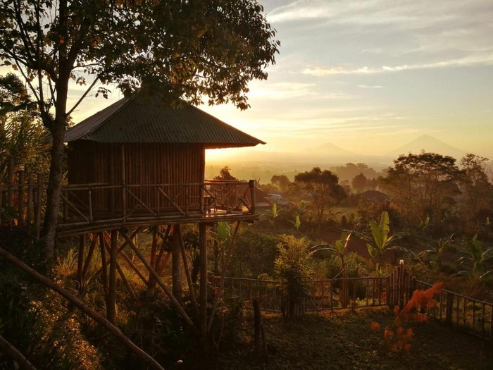Bali Tree House Pelangi beralamat di Baturiti, Kecamatan Baturiti, Kabupaten Tabanan, Bali. Foto: Booking Hotel