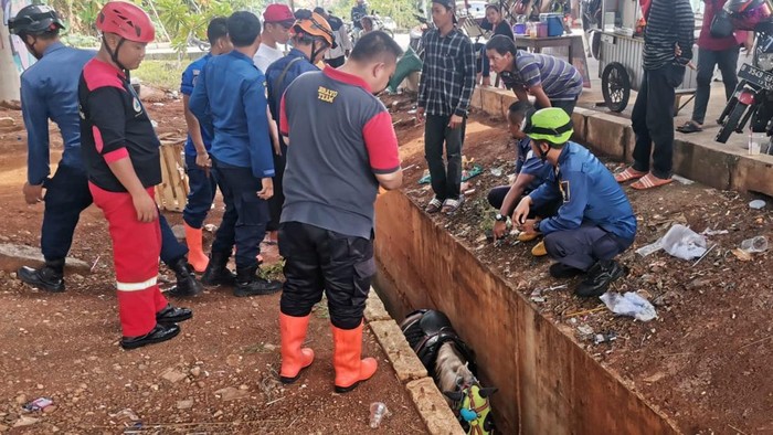 Damkar evakuasi kuda yang terperosok ke drainase di Depok