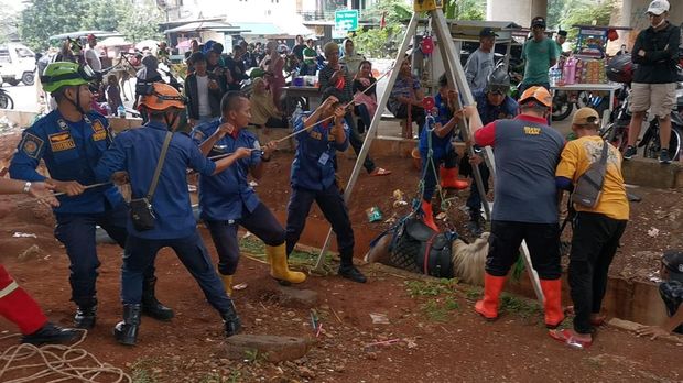 Damkar evakuasi kuda yang terperosok ke drainase di Depok