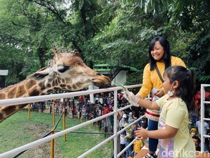 Pengunjung Kebun Binatang Surabaya Membludak Saat Libur Natal