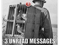 Kumpulan Meme yang Disukai Elon Musk Sepanjang 2022