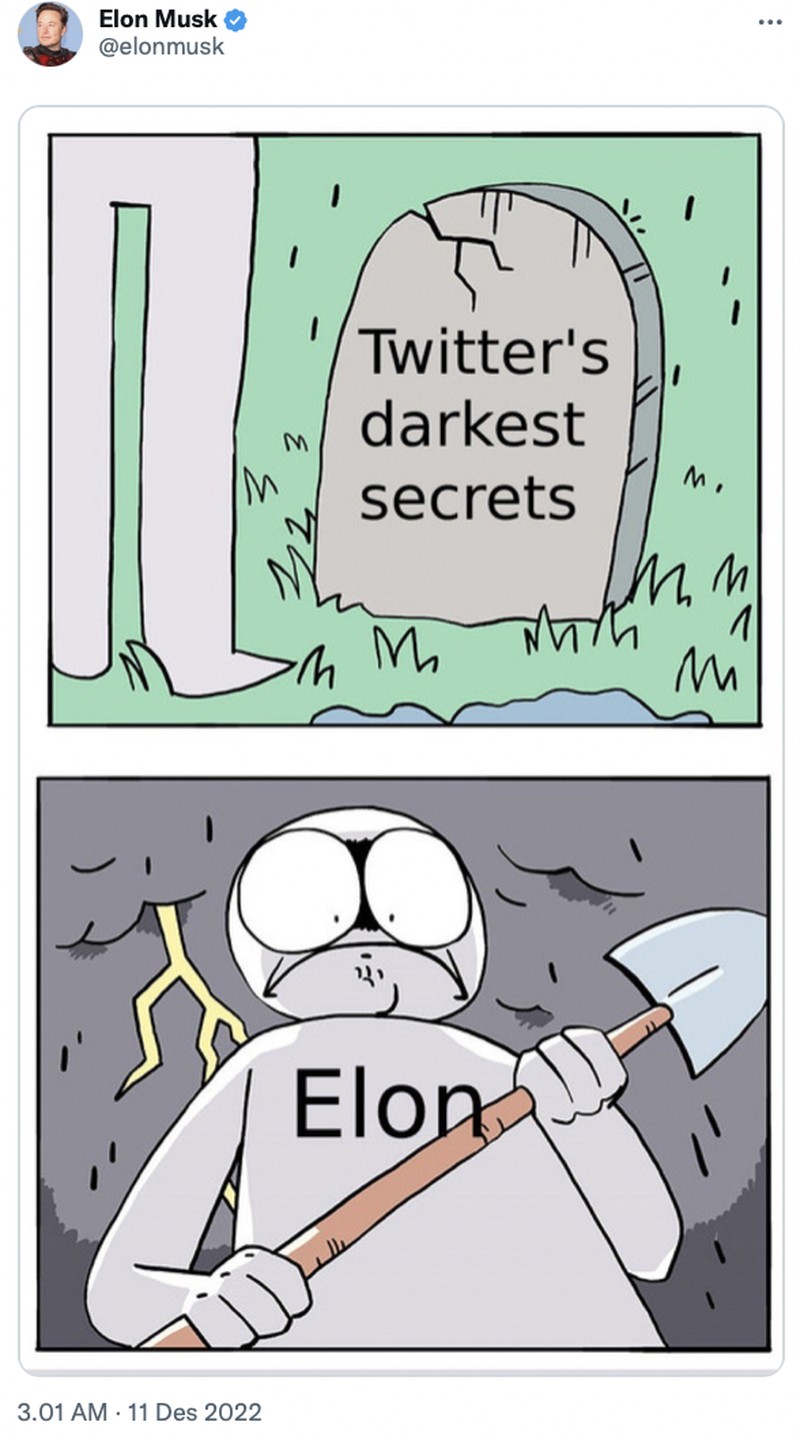 Elon Musk doyan bagi-bagi meme kocak