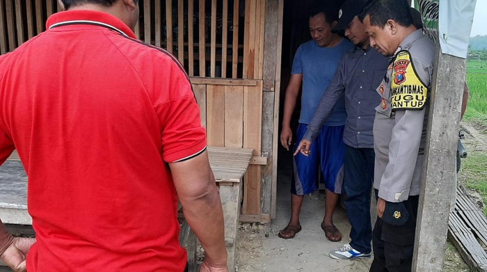 penemuan bayi lamongan