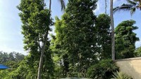Liburan ke Bali, tak lengkap rasanya bagi Rezky jika tidak menikmati floating breakfast dengan aneka makanan dan jus buah di atas kolam renang. Foto: Instagram