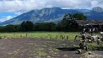 Potret Afrika van Java di TN Baluran Situbondo