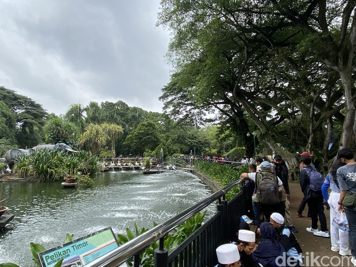 Suasana di sekitar Kebun Binatang Ragunan saat Natal 2022