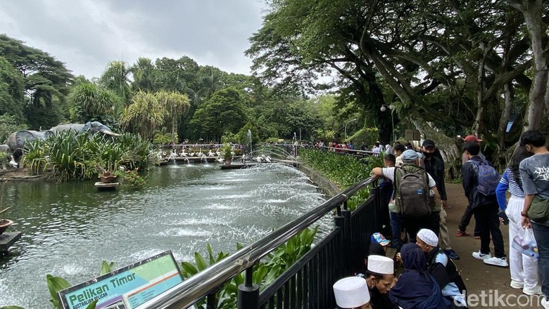 Suasana di sekitar Kebun Binatang Ragunan saat Natal 2022 Suasana di sekitar Kebun Binatang Ragunan saat Natal 2022