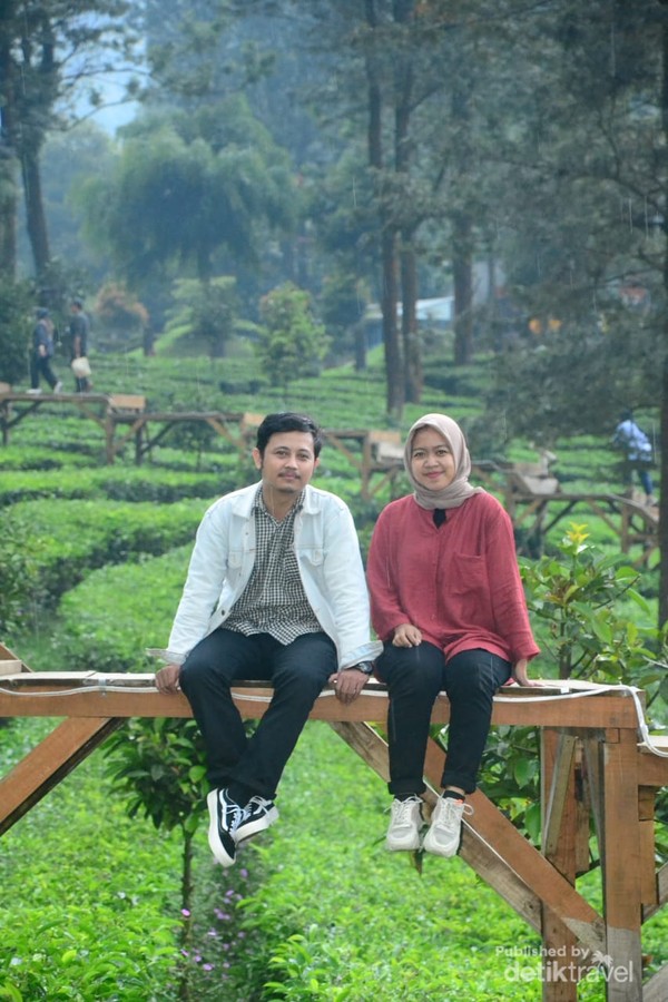 Berfoto di lanskap di Tea Bridge Gunung Mas Puncak, Bogor