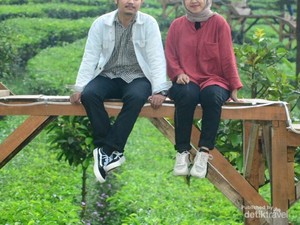 Sekilas Tentang Tea Bridge Gunung Mas Puncak