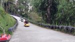 Serunya Menjajal Wisata Ekstrem Luge di Lugs Gravity Lembang