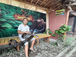 Bosan dengan Pantai? Yuk Main Bareng Reptil di Zeround Edupark