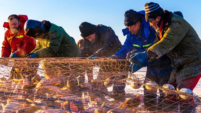 SONGYUAN, CHINA - DECEMBER 26: Fishermen operate traditional horse-drawn fishing winch at a fishing site on ice-sealed Chagan Lake on December 26, 2022 in Songyuan, Jilin Province of China. (Photo by Zhang Jingfeng/VCG via Getty Images)