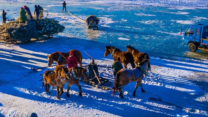 SONGYUAN, CHINA - DECEMBER 26: Fishermen operate traditional horse-drawn fishing winch at a fishing site on ice-sealed Chagan Lake on December 26, 2022 in Songyuan, Jilin Province of China. (Photo by Zhang Jingfeng/VCG via Getty Images)