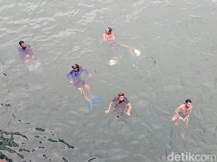 Potret Anak Logam Banyuwangi Menyelam Laut Demi Recehan