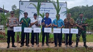 BRI Life Tanam Pohon di Gunung Kidul