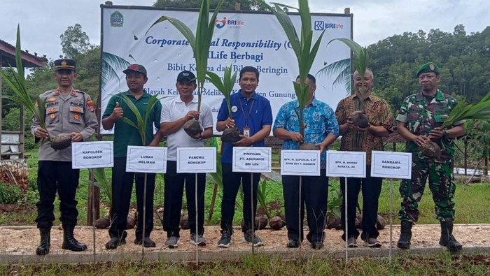 BRI Life Tanam Pohon di Gunung Kidul BRI Life melakukan gerakan peduli lindungan. Mereka menanam 500 bibit pohon kelapa hybrida dan 400 bibit pohon beringin di Gunung Kidul, Yogyakarta.