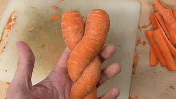 Wortel yag tak ingin dipisahkan. Foto: Reddit