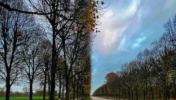 Seperti dua foto yang disatukan. Foto: Reddit