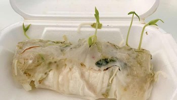 Tumbuh tanaman dari makanan. Foto: Reddit