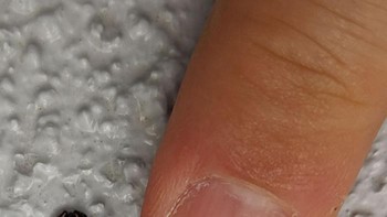 Katak mini. Foto: Reddit