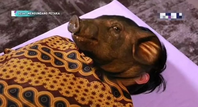 Ketika siluman babi belum sepenuhnya berubah. Bagian belakang kepalanya masih seperti manusia. Foto: Instagram/Twitter/1cak.com