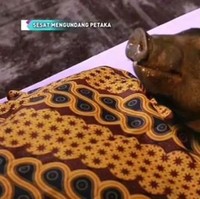 Ketika siluman babi belum sepenuhnya berubah. Bagian belakang kepalanya masih seperti manusia. Foto: Instagram/Twitter/1cak.com