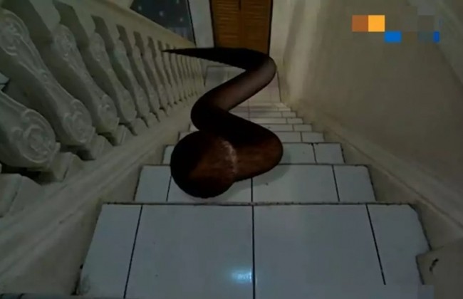 Editan yang sungguh natural. Nggak main-main bikin bengeknya sih ini. Foto: Instagram/Twitter/1cak.com