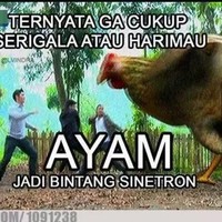 Jangan pernah sepelekan ayam karena ayam juga bisa jadi artis dan punya kekuatan untuk jadi raksasa seperti ini. Foto: Instagram/Twitter/1cak.com